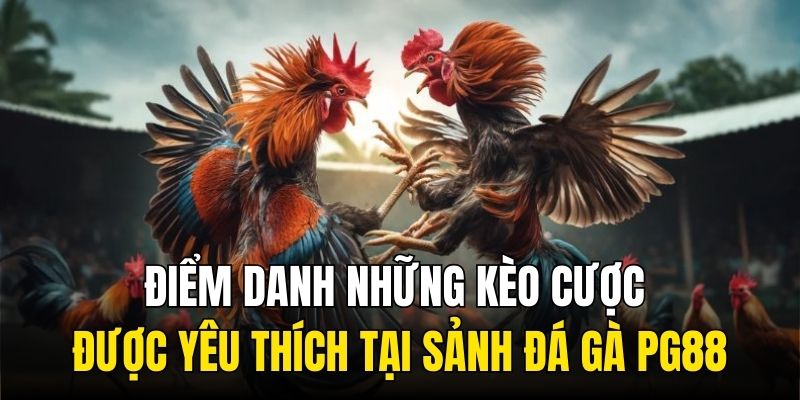 Điểm danh những kèo cược được yêu thích tại sảnh đá gà PG88